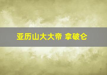 亚历山大大帝 拿破仑